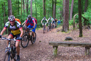 Geführte Mountainbike-Touren – ein bewegendes Erlebnis
