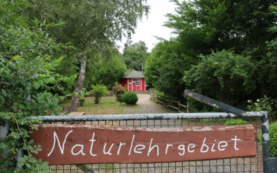 Treysa: Vandalen richten 400 Euro Schaden an