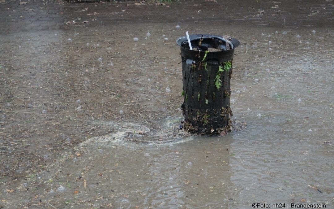 Kassel: Feuerwehr pumpt Keller aus und beseitigt Baum
