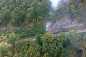 Rund 700 Einsatzkräfte bekämpfen Waldbrand