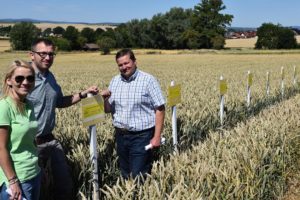 Wiebke Knell besucht landwirtschaftliches Versuchsfeld