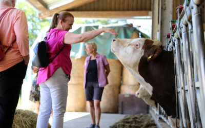 Sterneköche im Kuhstall