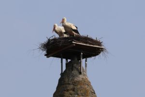 Liaison auf dem Alsfelder Leonhardsturm