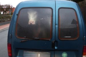 B83: Rind im Kleintransporter nach Malsfeld gebracht