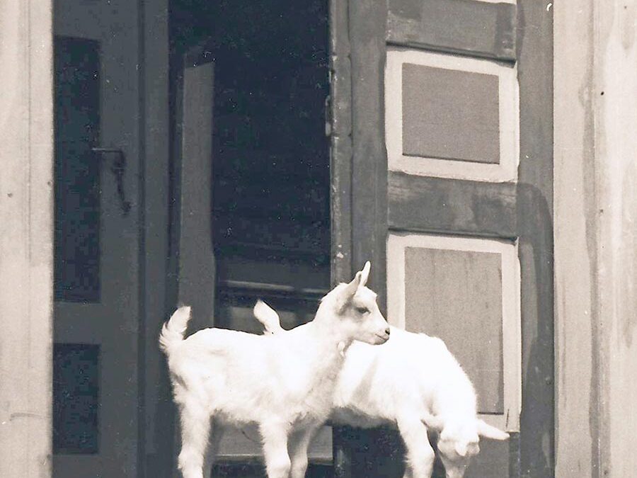 „Heimatblick“ im Schwälmer Dorfmuseum Holzburg