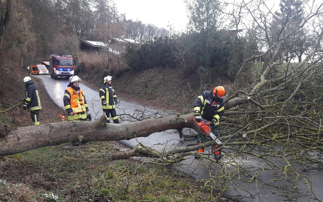Sebbeterode: Feuerwehr entfernt Baum von Fahrbahn