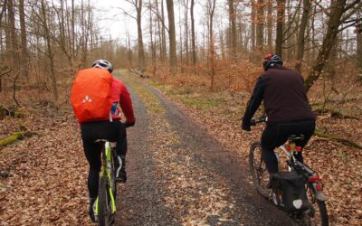 ADFC Schwalmstadt lädt ein: Winter-MTB-Tour „Eichwald-Runde“