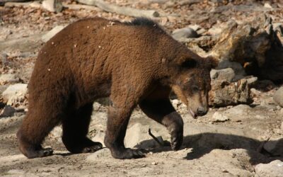 Ein Frühlingserwachen voller Abenteuer