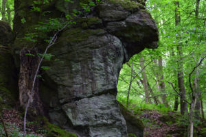 Wanderweg „HeinzemannTour“ wird offiziell eröffnet
