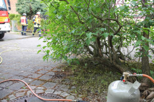 Beim Abflammen von Unkraut Hecke angezündet