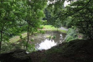 Feier am Wasserfall