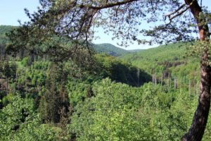 Information und Dialog zur Nationalpark-Erweiterung