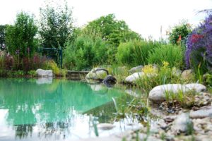 Erleben, genießen und wohlfühlen im eigenen Schwimmteich