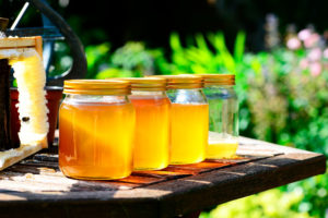 Wanderung zu Milch und Honig