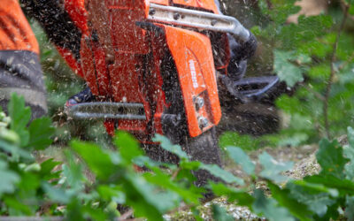 Landesstraße zwischen Frielendorf und Welcherod wegen Gehölzpflegearbeiten gesperrt