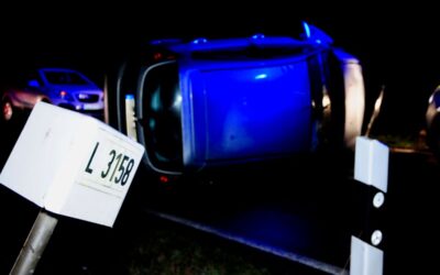 Wild ausgewichen und frontal gegen Baum