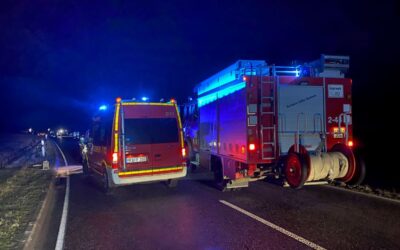 Fritzlar: Zwei PKW kollidieren zeitgleich mit Wildschweinrotte