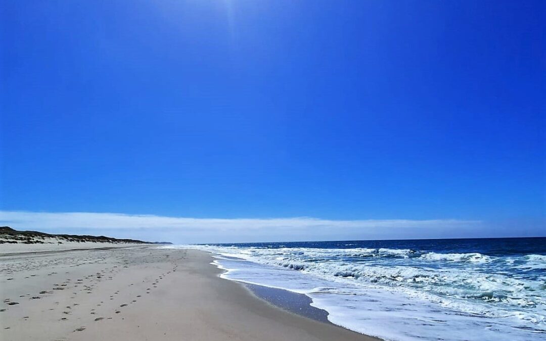 Anmeldestart für Familienfreizeiten 2026 auf Sylt und am Königssee