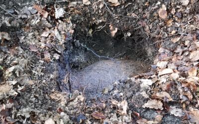 KS: Bomben- und Drogenfund; Einbruch