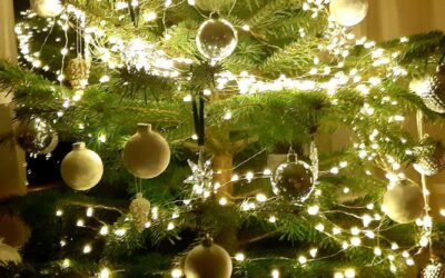 Weihnachtsgewinnspiel „Schwalmstädter Weihnachtslose“ startet im Einzelhandel