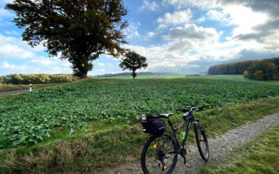 Stadtradeln 2024 – Familien-Radtour des ADFC