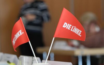 Linke für Absenkung des Wahlalters