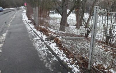 Rothenditmold: Gegen Zaun geschleudert