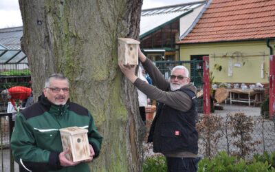 Nistkästen für mehr Nachhaltigkeit