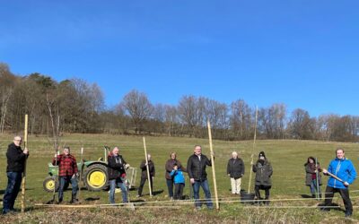 CDU Körle: Hochstämmige Obstbäume gepflanzt