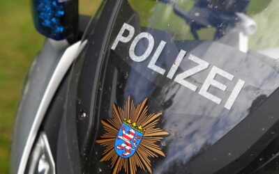 KS: Autodiebstahl, Brandstiftung und Hundebiss