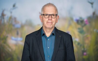 Grüne Niedenstein gehen gestärkt aus der Kommunalwahl hervor