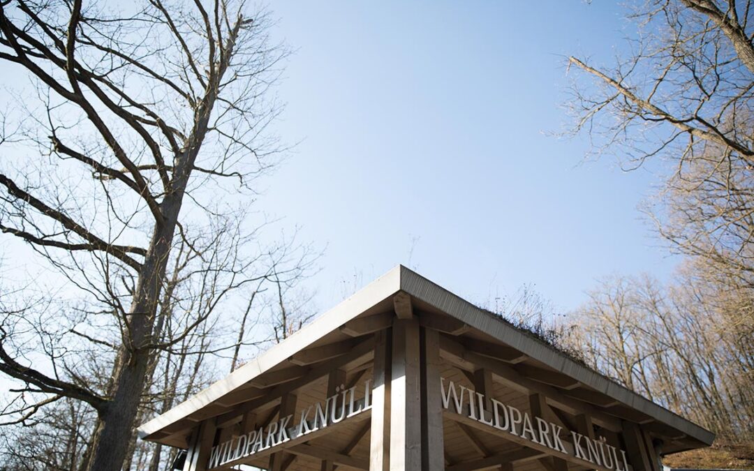 Maul- und Klauenseuche: Wildpark Knüll vorsorglich geschlossen