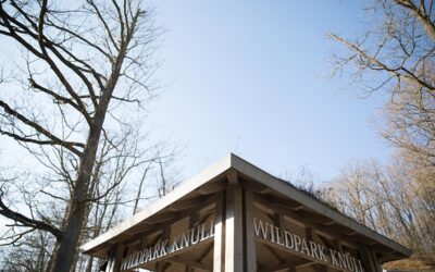 Maul- und Klauenseuche: Wildpark Knüll vorsorglich geschlossen