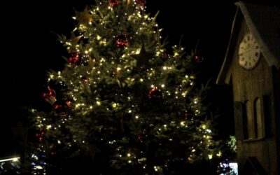 Sirenenprobe und Weihnachtsbaumsammlung in Schwalmstadt