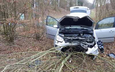 Baunatal: Pkw kommt erst im Gebüsch zum Stehen