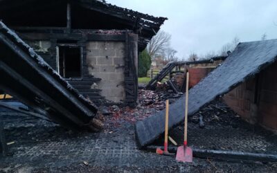 Neustadt: Pkw überschlägt sich; Hütte stand in Vollbrand