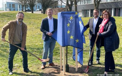 Europabaum und Europabank an der Theodor-Heuss-Schule