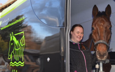 Meer Luft fürs Pferd