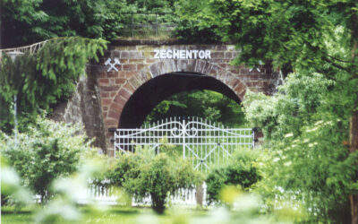 Wald-KiTa – Neues Betreuungsangebot im Marktflecken Frielendorf