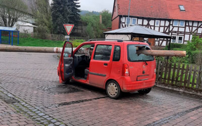 Maibaum bohrt sich bei Unfall durch Pkw