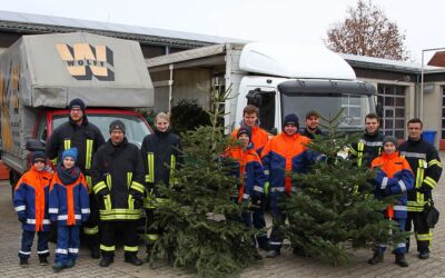 Weihnachtsbäume werden eingesammelt