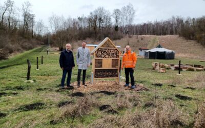 XXL-Insektenhotel für Frielendorfer Waldkindergarten