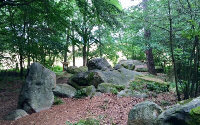 Genuss zwischen Kultur und Natur