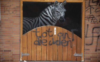 SEK: Hakenkreuze in Treysa gesprüht; hoher Schaden bei Einbrüchen in Körle und Borken