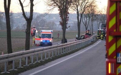 B 454: Schwere Verletzungen nach Unfall mit Reh