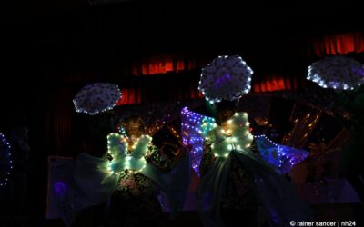 Trees Alleweil! Einnahmeausfälle führen zu Ausnahme-Einfällen