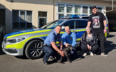 HEF: Welpenglück; Unfall in Rettungsgasse; u. a.