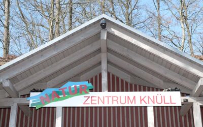 Noch Plätze frei bei Ferienspieltagen im Wildpark Knüll