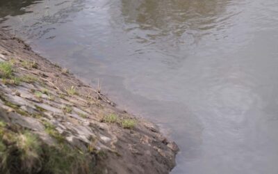 SEK: Öl auf der Schwalm; Motorrad in Frielendorf gestohlen; versuchte Einbrüche; u. a.