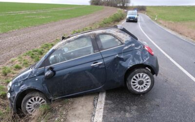 SEK: Unfall; Frau rettet sich und ihre Katzen